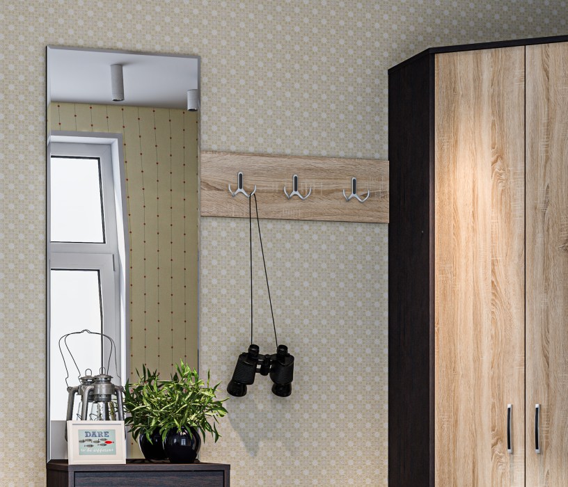 Настенные, Вешалка настенная Афина СБ-2243