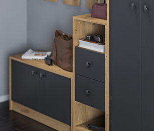 Прихожая Сидней Дуб дикий/Диамант серый