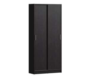 Терра СБ-2545 Шкаф-купе 2-х дверный Венге